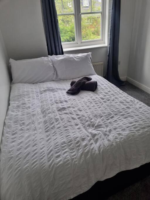 Maidstone Villa 3 Bedroom Free Sports Channels,Parking Sleeps 7 Εξωτερικό φωτογραφία